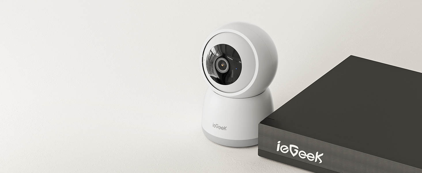 Compatible con NVR de ieGeek