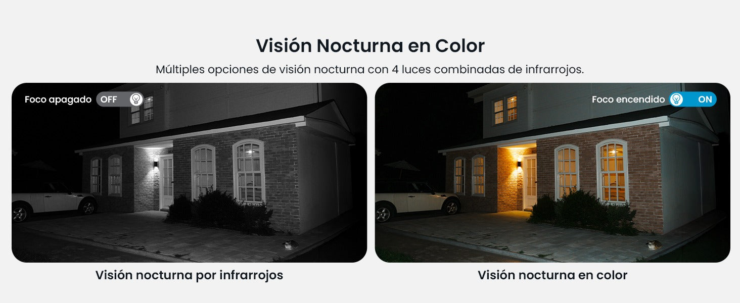 Nocturna en color